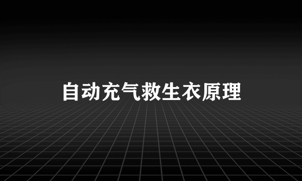 自动充气救生衣原理