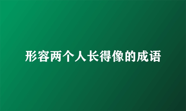 形容两个人长得像的成语