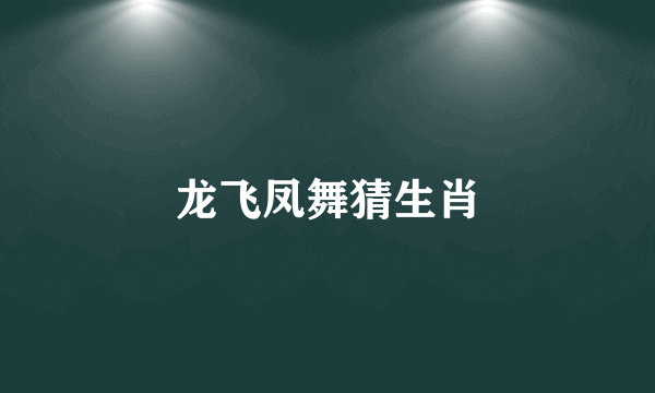 龙飞凤舞猜生肖