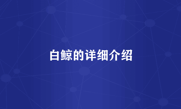 白鲸的详细介绍