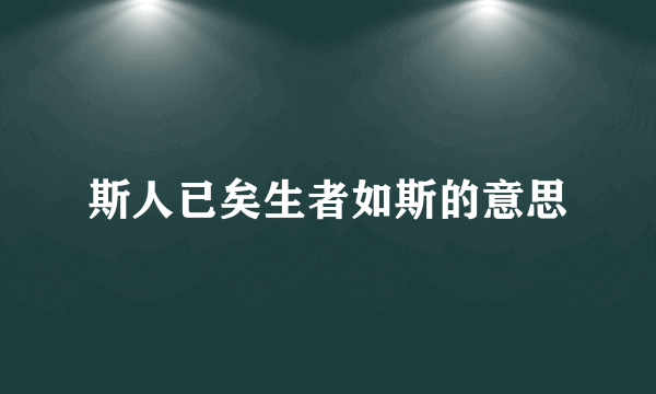 斯人已矣生者如斯的意思