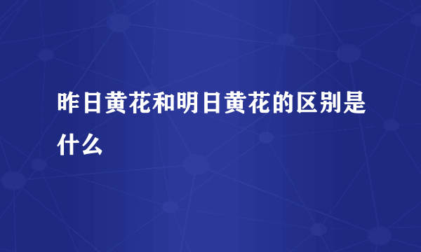 昨日黄花和明日黄花的区别是什么