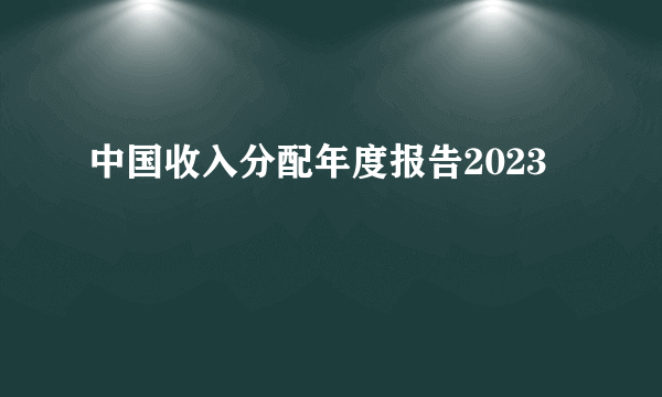 中国收入分配年度报告2023
