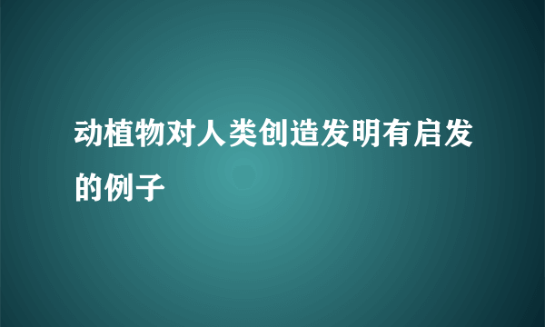 动植物对人类创造发明有启发的例子