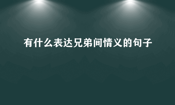 有什么表达兄弟间情义的句子