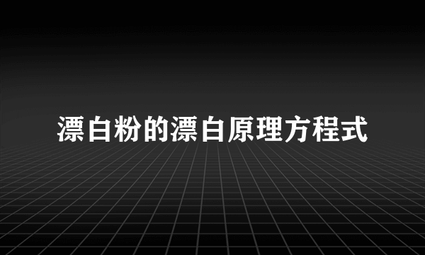 漂白粉的漂白原理方程式