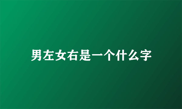 男左女右是一个什么字
