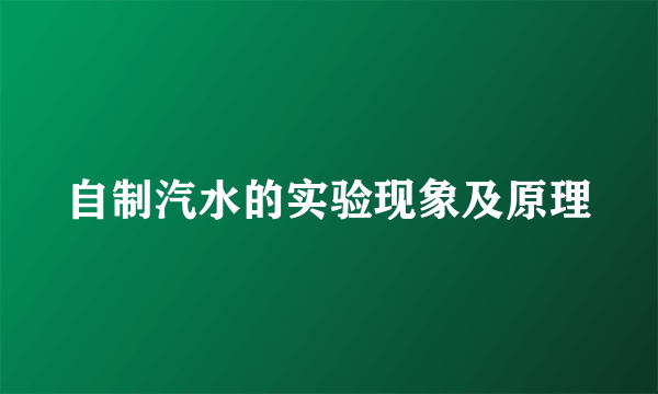 自制汽水的实验现象及原理