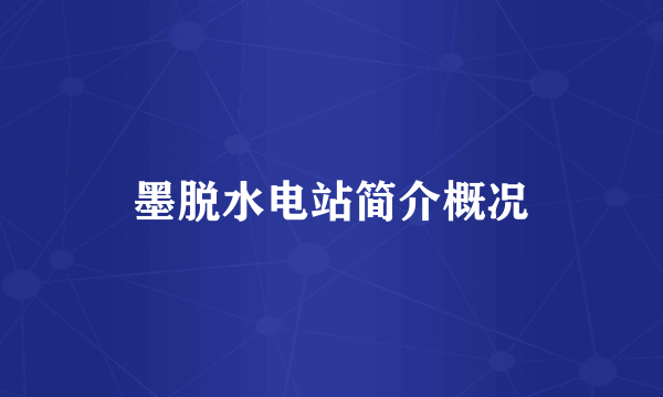 墨脱水电站简介概况