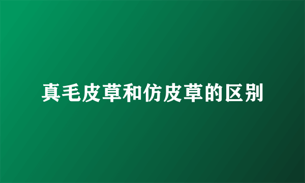 真毛皮草和仿皮草的区别