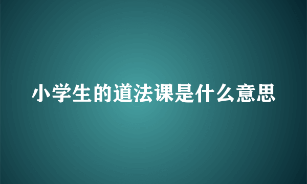 小学生的道法课是什么意思