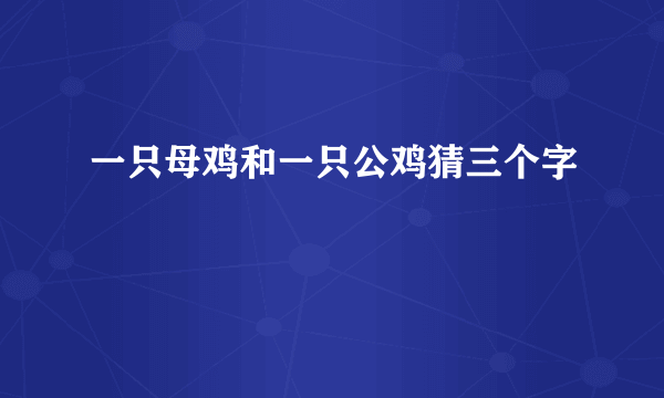 一只母鸡和一只公鸡猜三个字