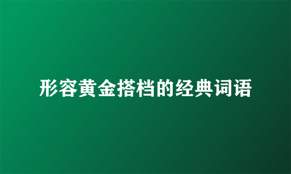 形容黄金搭档的经典词语
