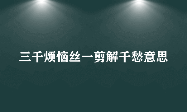 三千烦恼丝一剪解千愁意思