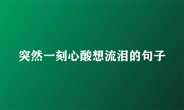 突然一刻心酸想流泪的句子