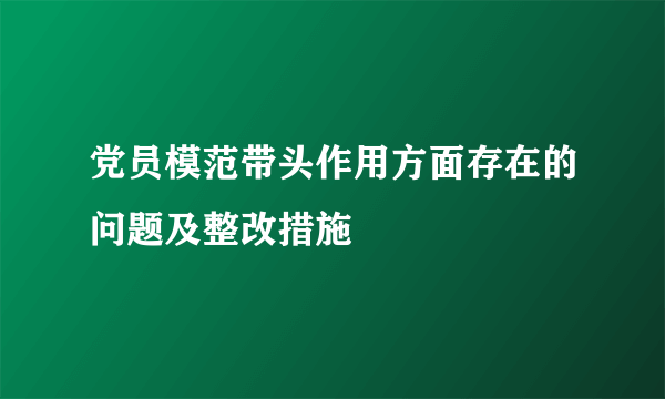 党员模范带头作用方面存在的问题及整改措施