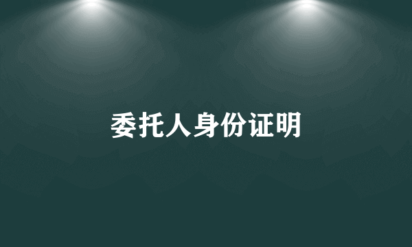 委托人身份证明