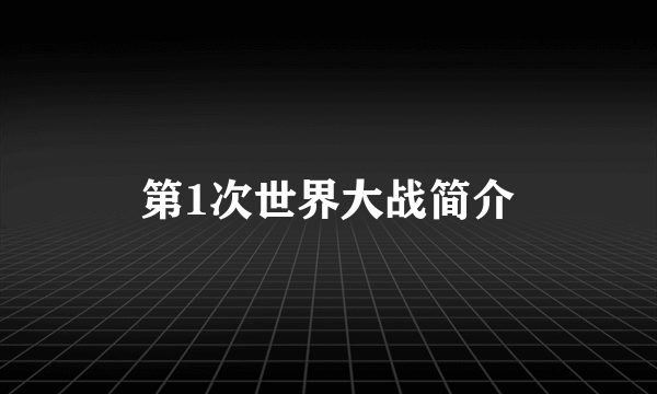 第1次世界大战简介