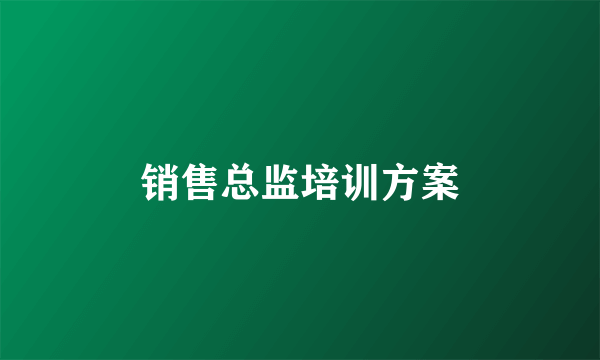 销售总监培训方案