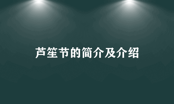 芦笙节的简介及介绍