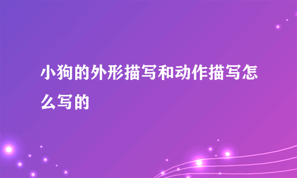 小狗的外形描写和动作描写怎么写的
