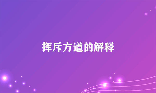 挥斥方遒的解释