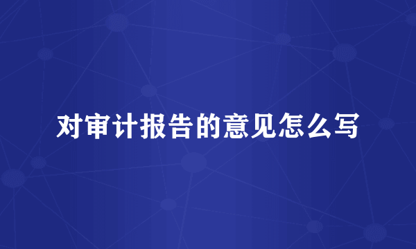 对审计报告的意见怎么写