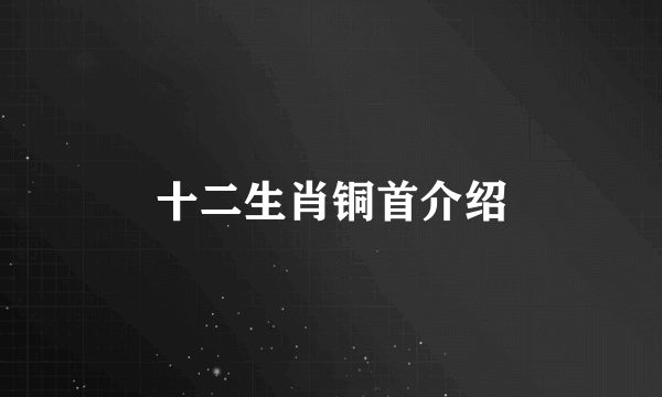 十二生肖铜首介绍