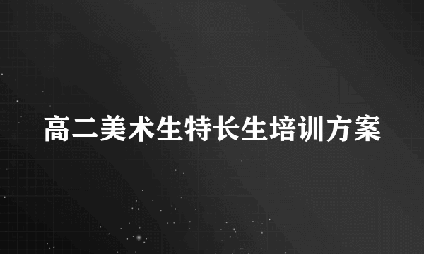 高二美术生特长生培训方案