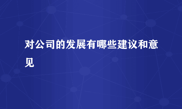 对公司的发展有哪些建议和意见