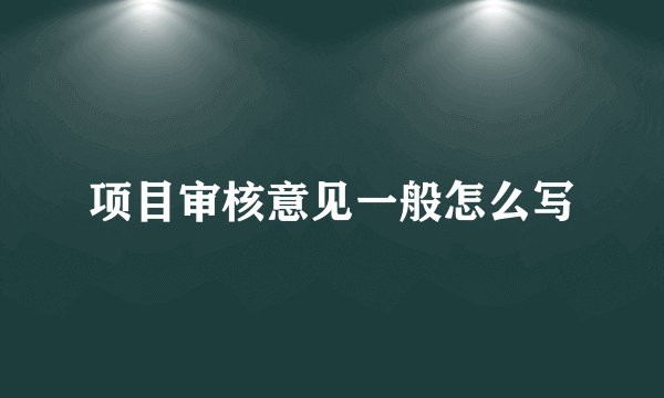 项目审核意见一般怎么写