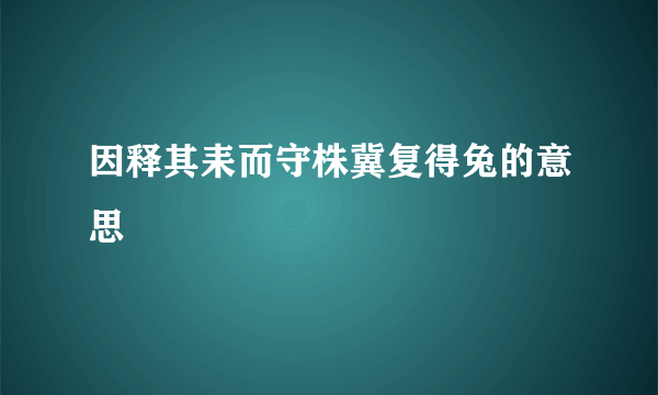 因释其耒而守株冀复得兔的意思