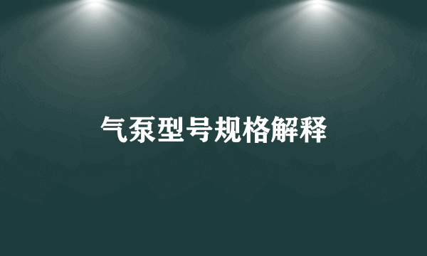 气泵型号规格解释
