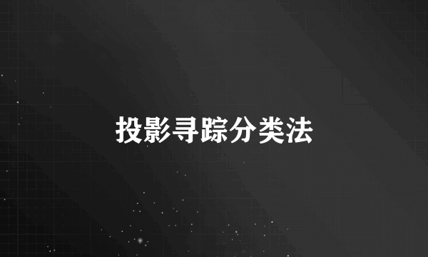 投影寻踪分类法