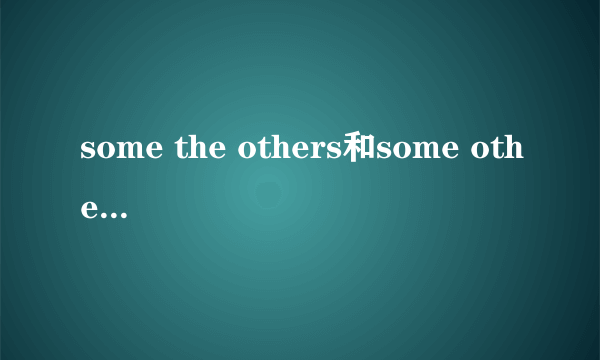 some the others和some others的区别