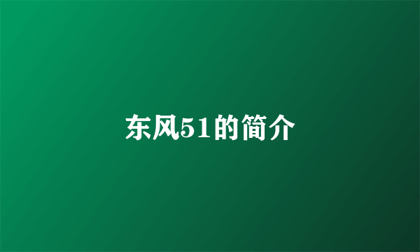 东风51的简介