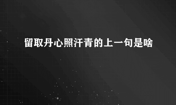 留取丹心照汗青的上一句是啥