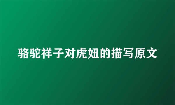 骆驼祥子对虎妞的描写原文