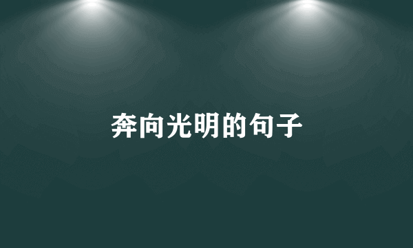 奔向光明的句子