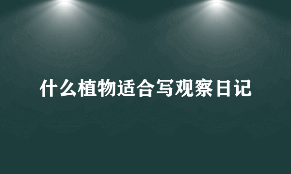 什么植物适合写观察日记