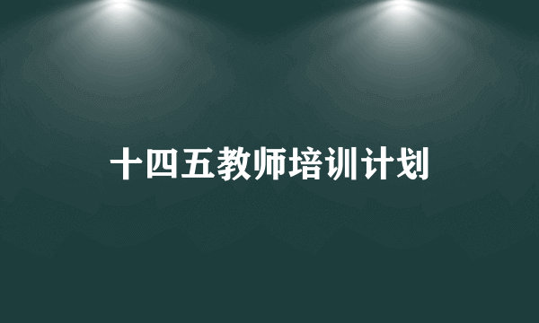 十四五教师培训计划