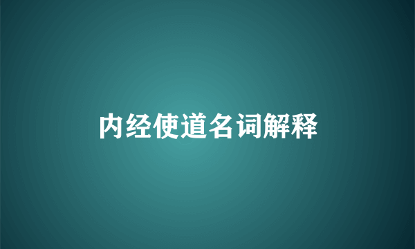 内经使道名词解释