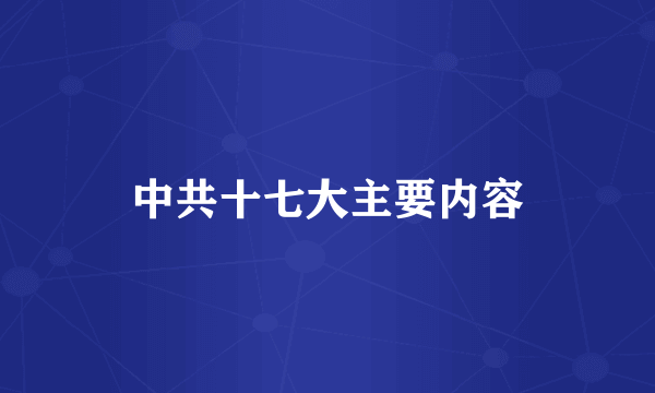 中共十七大主要内容