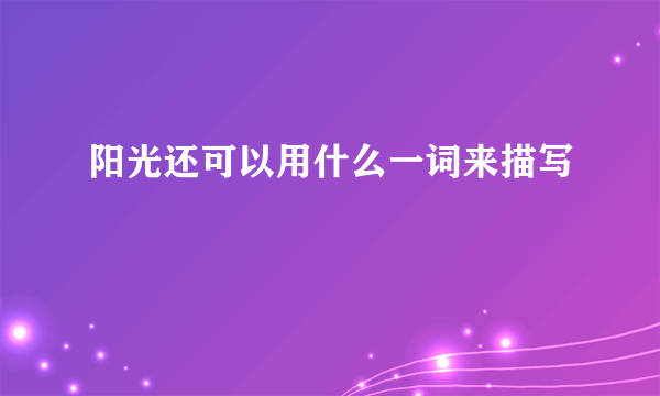 阳光还可以用什么一词来描写