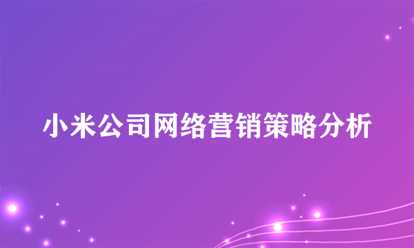 小米公司网络营销策略分析