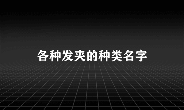 各种发夹的种类名字