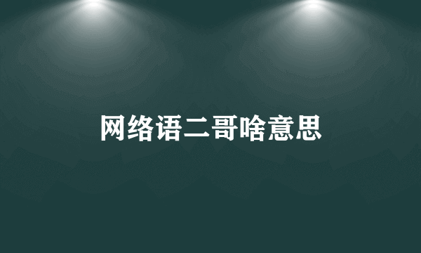 网络语二哥啥意思