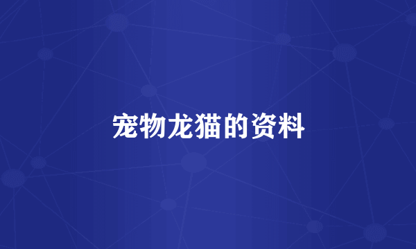 宠物龙猫的资料