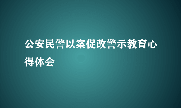 公安民警以案促改警示教育心得体会