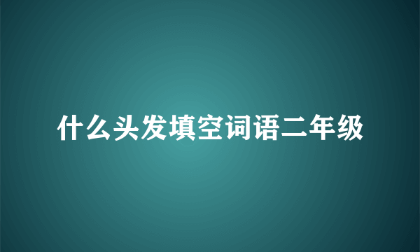 什么头发填空词语二年级
